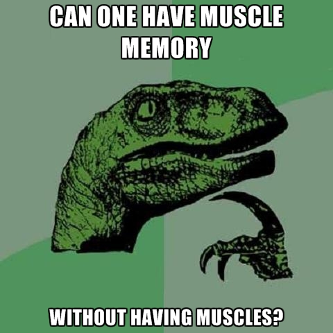 can-one-have-muscle-memory-without-having-muscles